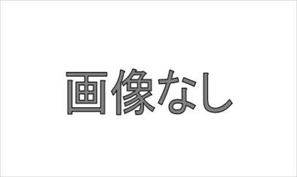 「Copen」正品 LA400K 前下裙零件 大發正品零件 copen 選項配件用品