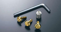 『クラウンロイヤル』 純正 AWS210 GRS210 GRS211 AWS211 ロックボルト ナンバープレート用（ゴールド） パーツ トヨタ純正部品 盗難防止 防犯 安心 crown オプション アクセサリー 用品